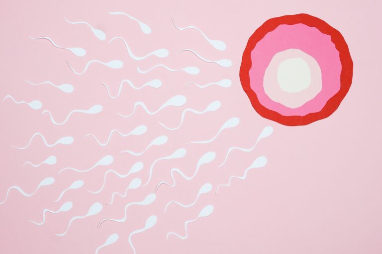 Sperms Swimming towards an Ovum